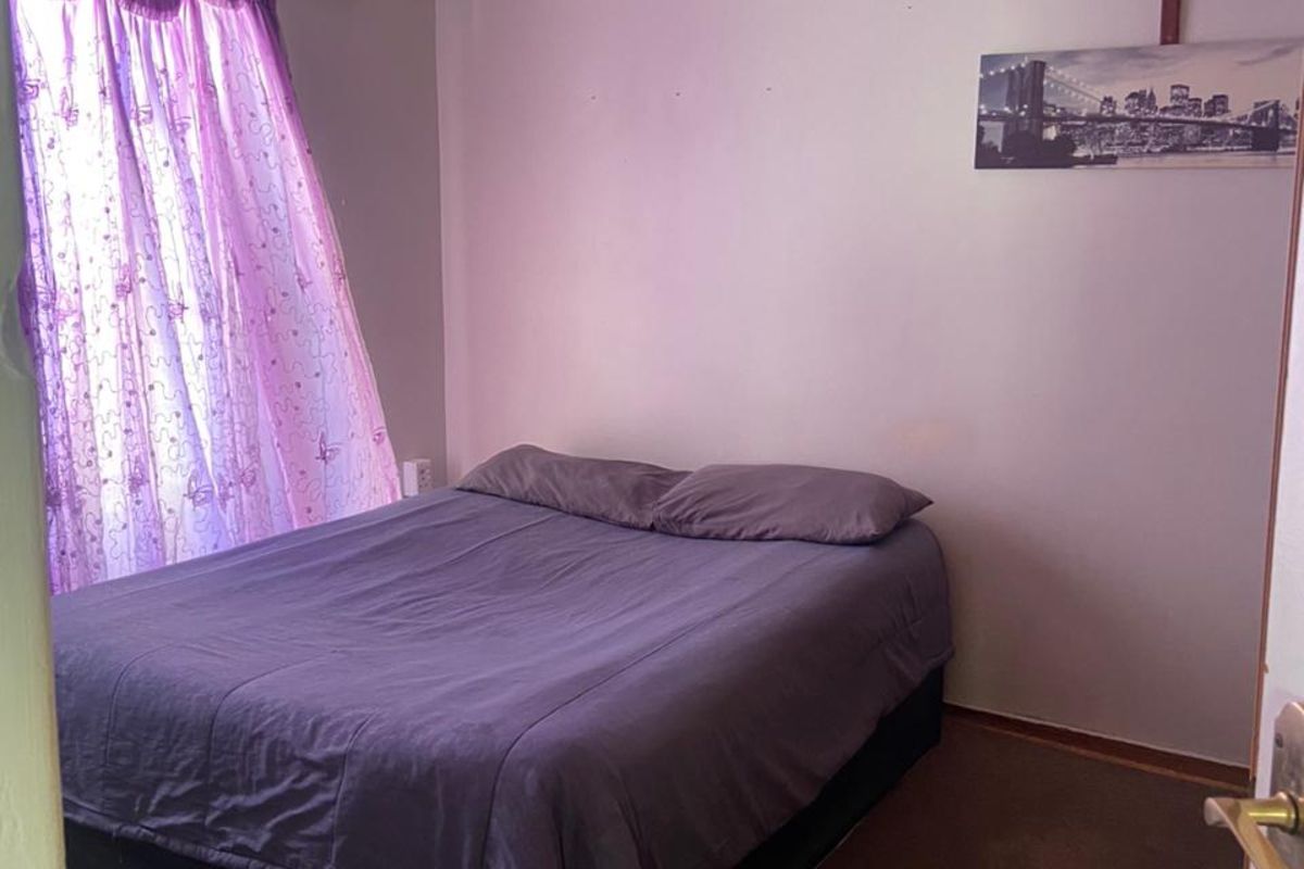 A standard bedroom featuring carpeted flooring, a window with curtain tracks, and coved ceiling detailing.