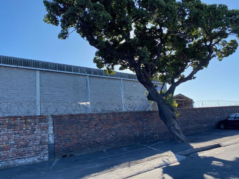 Industrial To Rent in Lansdowne - Photo 5