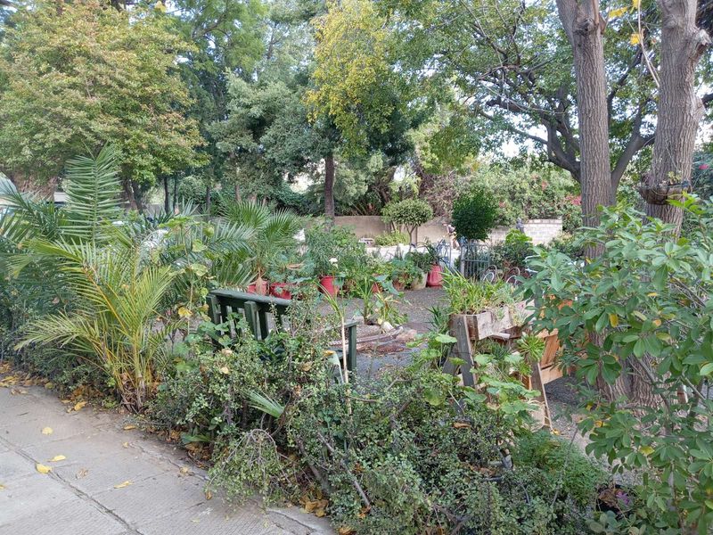 Guest House For Sale in Graaff-Reinet Central - Photo 6