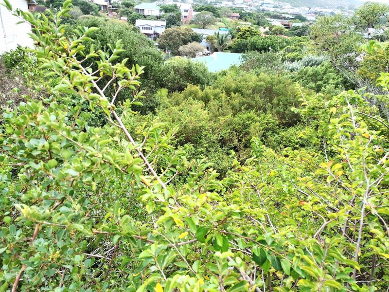 Vacant Land Residential For Sale in Kingfisher Creek - Photo 4