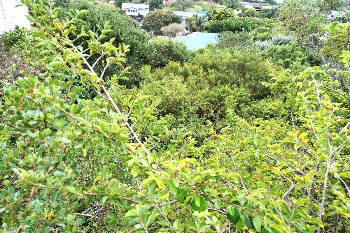 Vacant Land Residential For Sale in Kingfisher Creek - Photo 4