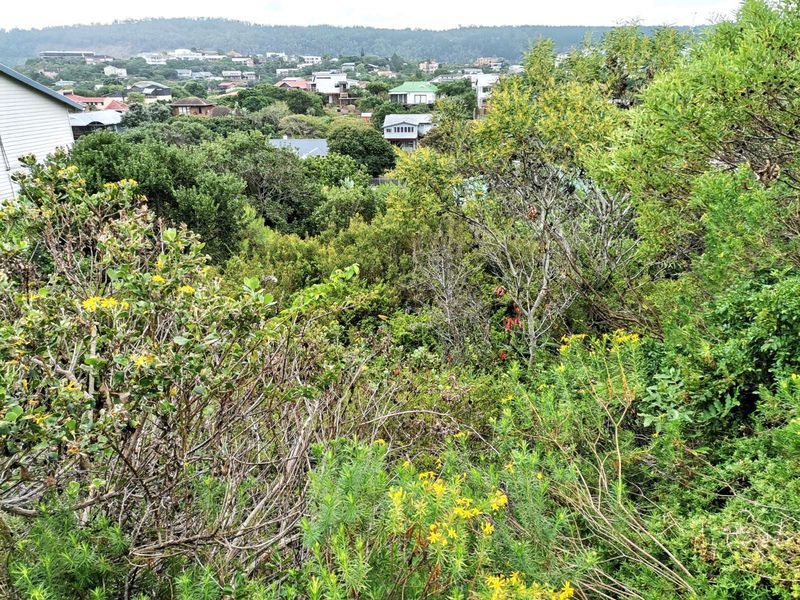 Vacant Land Residential For Sale in Kingfisher Creek - Photo 2