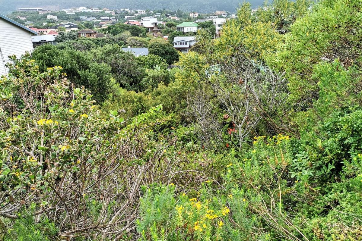 Vacant Land Residential For Sale in Kingfisher Creek - Photo 2