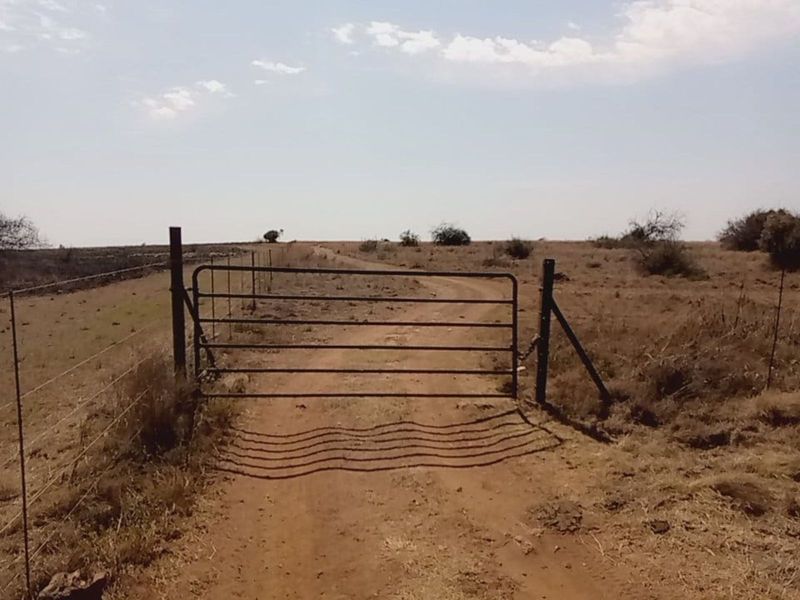 Farm For Sale in Lichtenburg Central - Photo 4