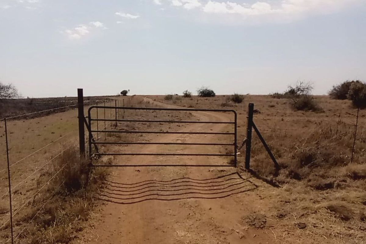Farm For Sale in Lichtenburg Central - Photo 4