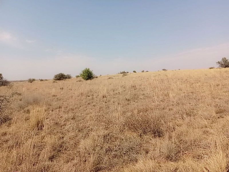 Farm For Sale in Lichtenburg Central - Photo 10