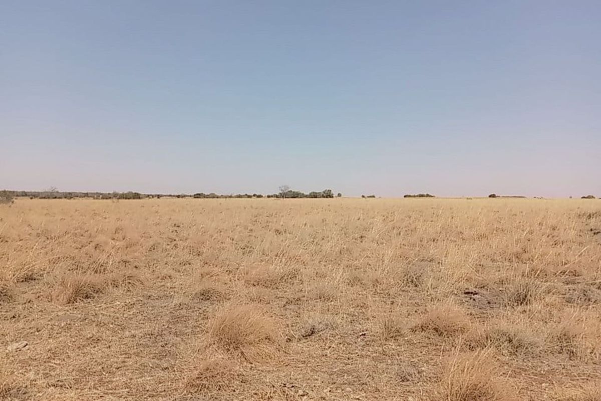 Farm For Sale in Lichtenburg Central - Photo 3