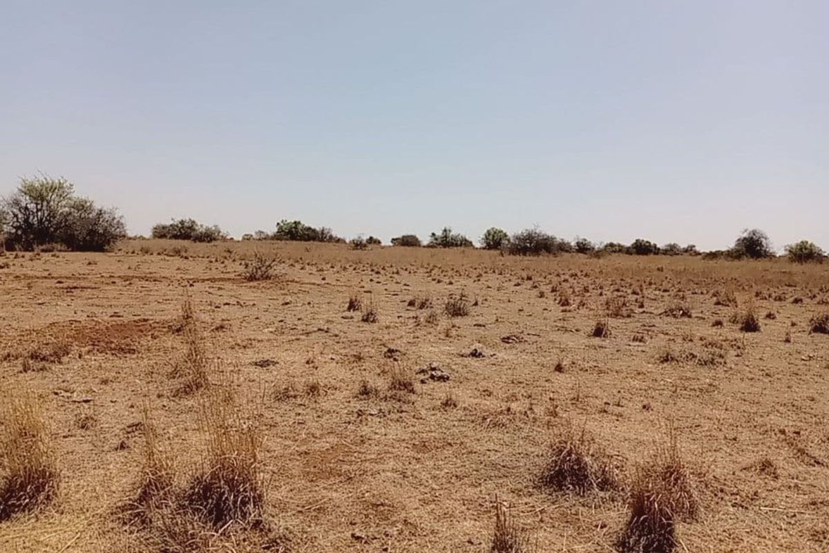 Farm For Sale in Lichtenburg Central - Photo 2