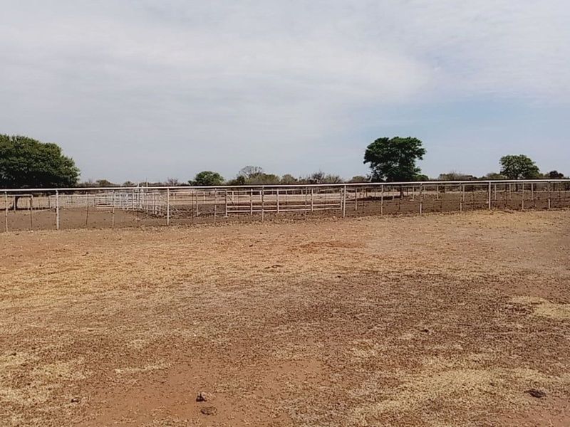 Farm For Sale in Lichtenburg Central - Photo 5
