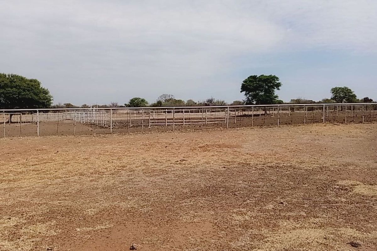 Farm For Sale in Lichtenburg Central - Photo 5