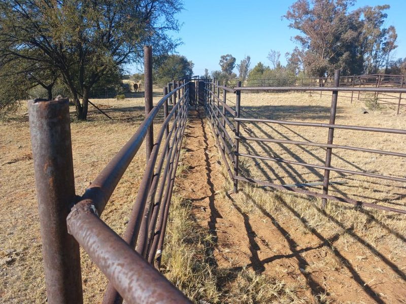 Farm For Sale in Vryburg Rural - Photo 9