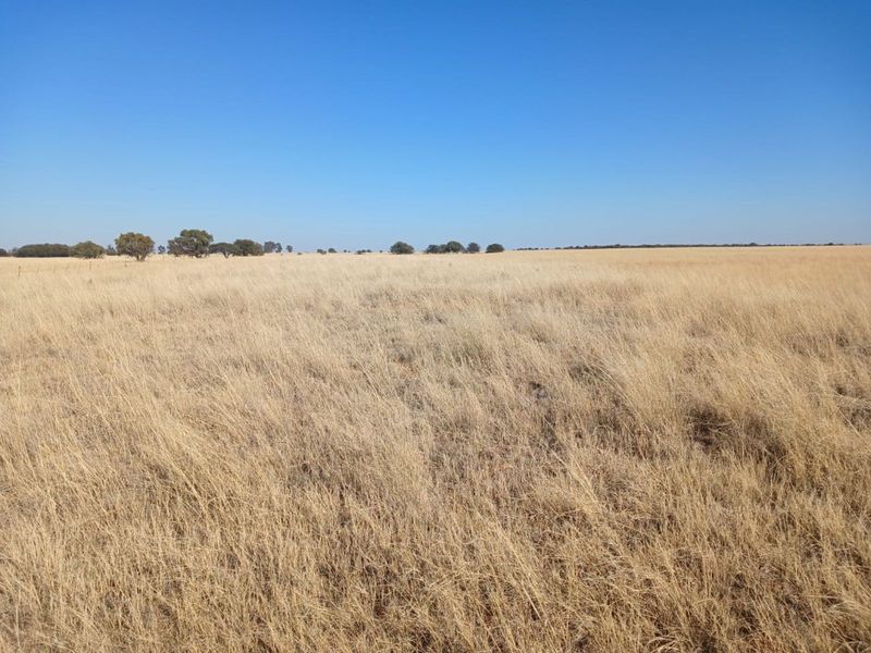 Farm For Sale in Vryburg Rural - Photo 4