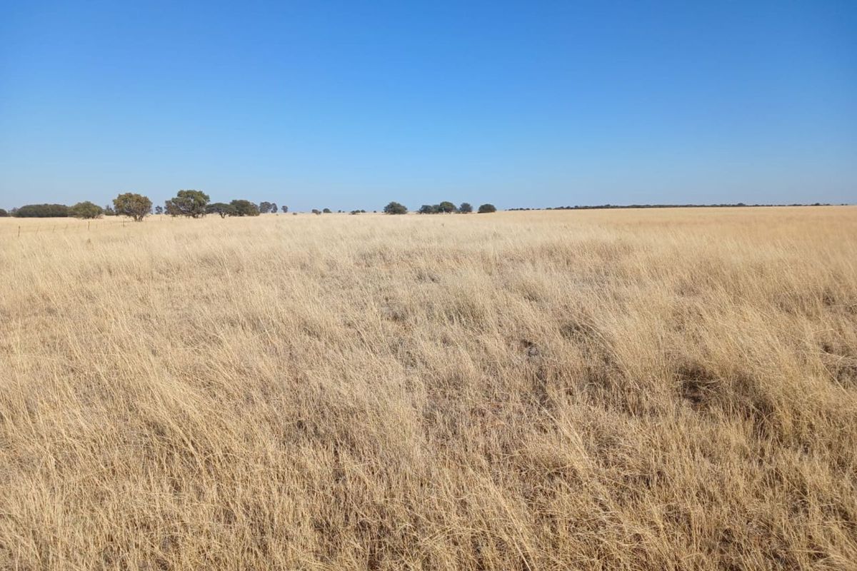 Farm For Sale in Vryburg Rural - Photo 4