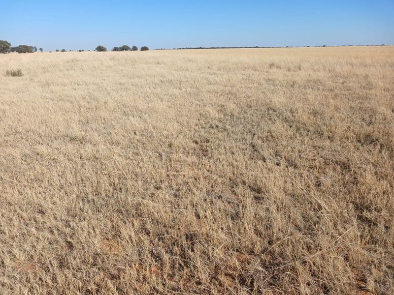 Farm For Sale in Vryburg Rural - Photo 5