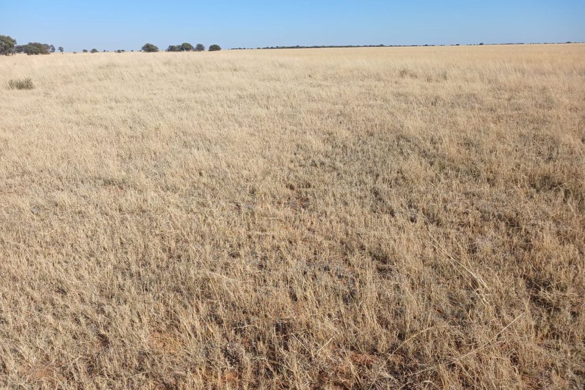 Farm For Sale in Vryburg Rural - Photo 5