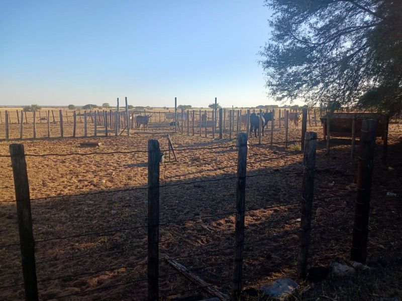 Farm For Sale in Vryburg Rural - Photo 9