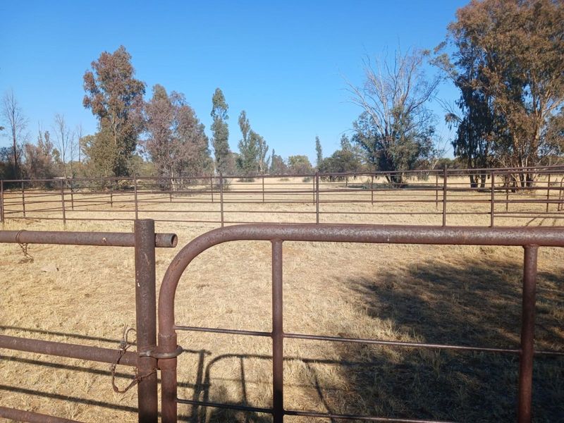 Farm For Sale in Vryburg Rural - Photo 8