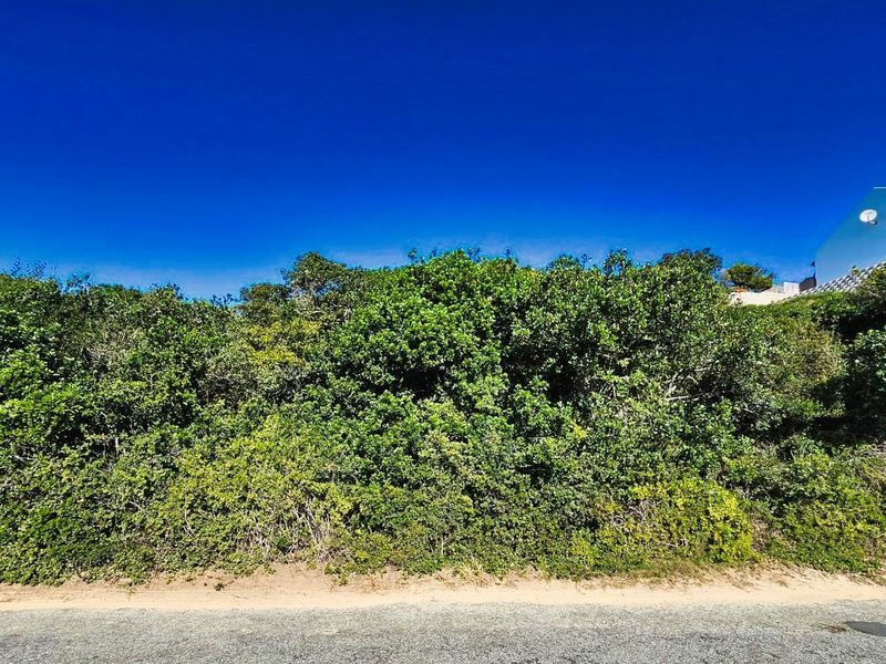 Vacant Land Residential For Sale in Wilderness Central - Photo 4