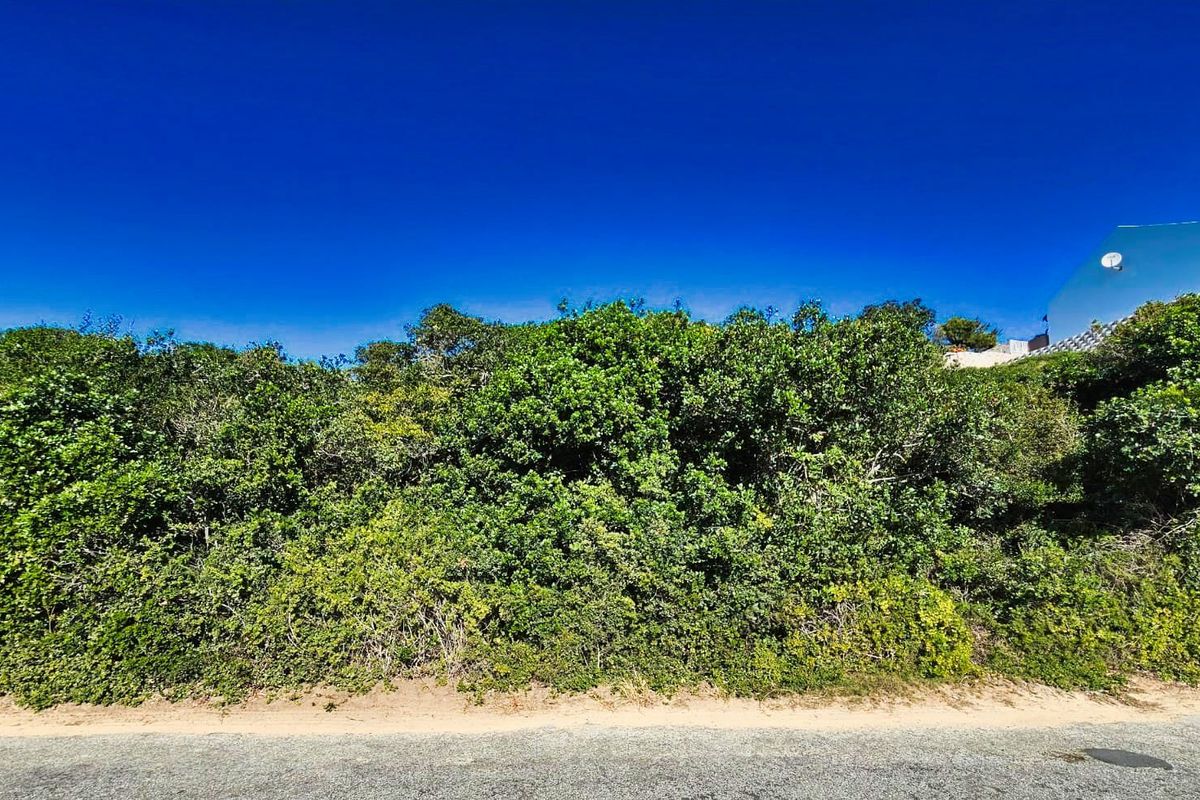 Vacant Land Residential For Sale in Wilderness Central - Photo 4