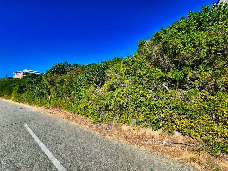 Vacant Land Residential For Sale in Wilderness Central - Photo 6