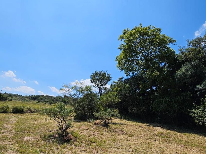 Vacant Land Residential For Sale in The Hills Game Reserve Estate - Photo 10