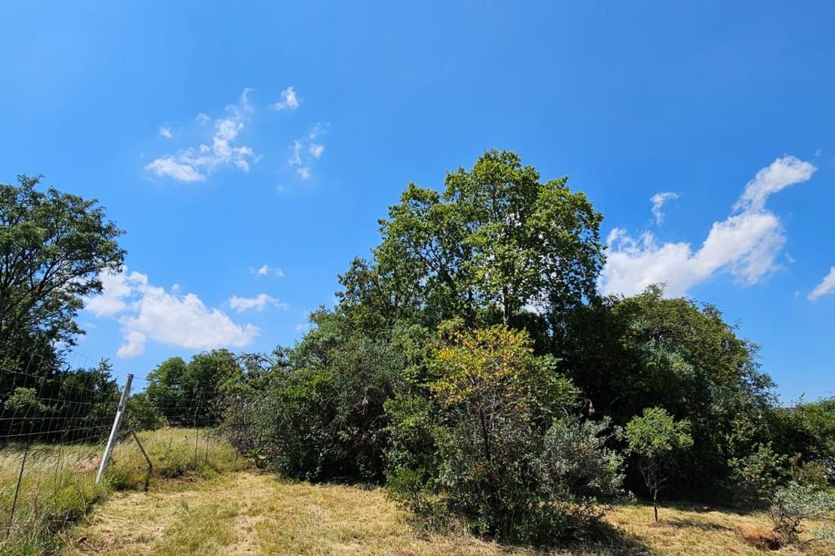Vacant Land Residential For Sale in The Hills Game Reserve Estate - Photo 2