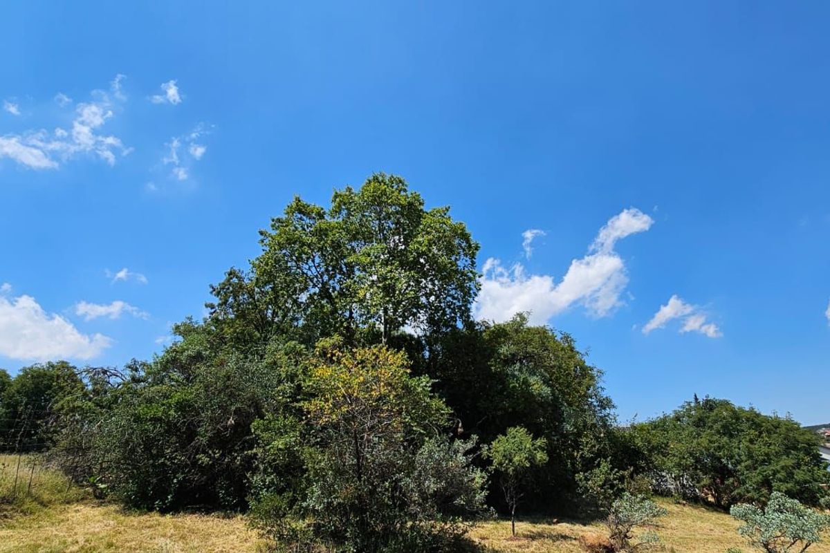 Vacant Land Residential For Sale in The Hills Game Reserve Estate - Photo 3
