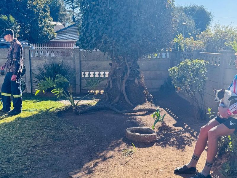 House For Sale in Del Judor - Photo 6