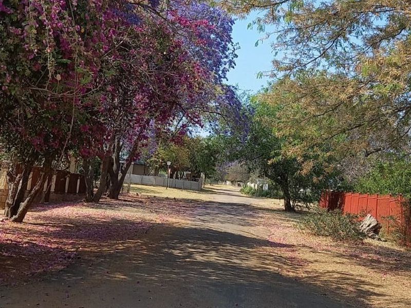 Vacant Land Residential For Sale in Rooiberg - Photo 2