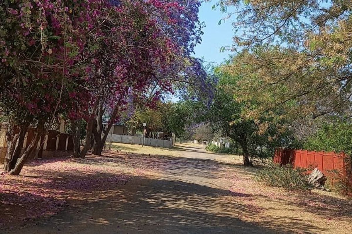 Vacant Land Residential For Sale in Rooiberg - Photo 2