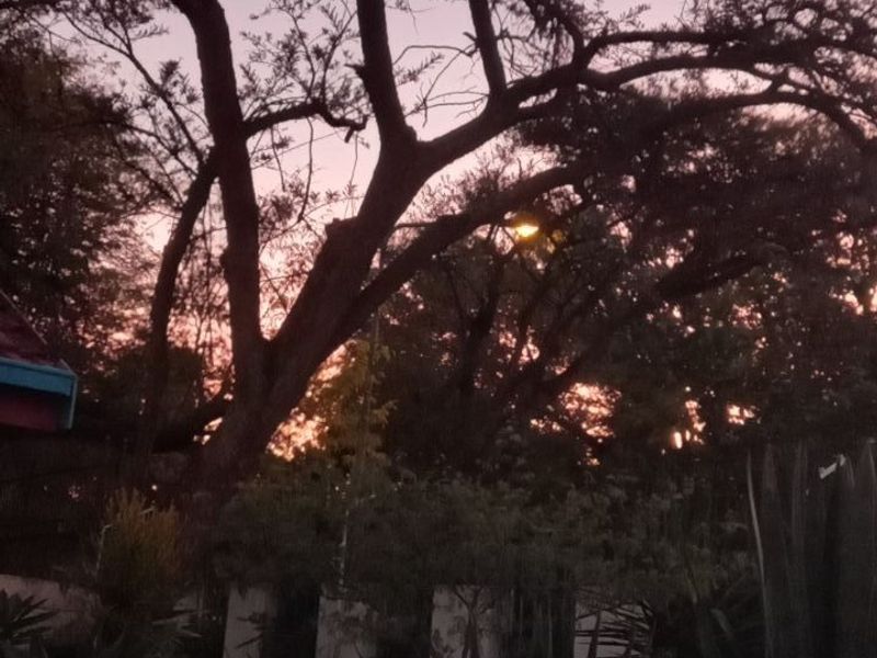 Vacant Land Residential For Sale in Rooiberg - Photo 5