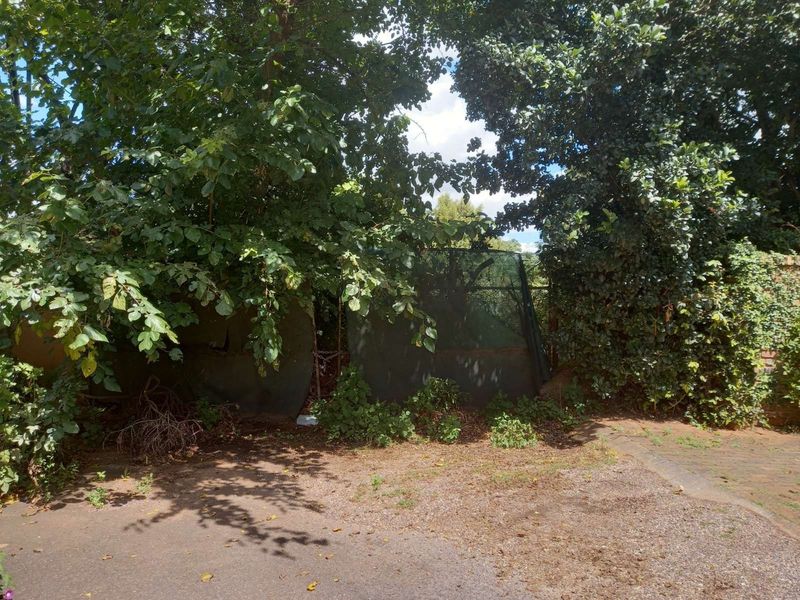 Vacant Land Residential For Sale in Rooiberg - Photo 7