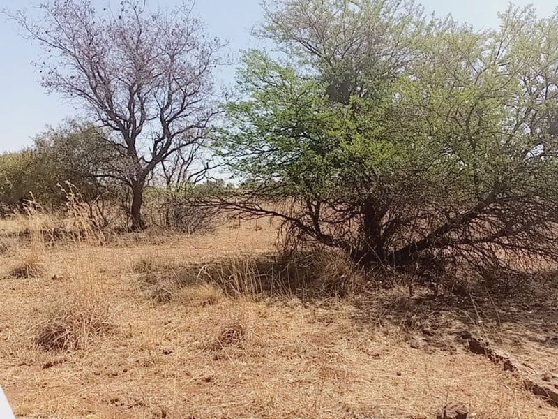 Farm For Sale in Lichtenburg Central - Photo 3