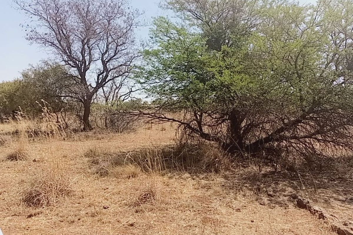 Farm For Sale in Lichtenburg Central - Photo 3