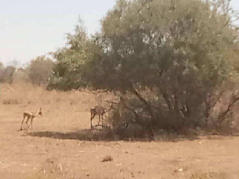 Farm For Sale in Lichtenburg Central - Photo 4