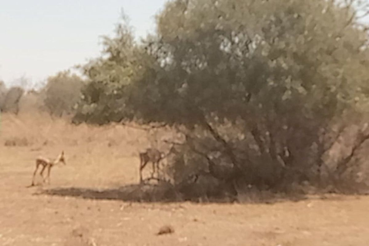 Farm For Sale in Lichtenburg Central - Photo 4