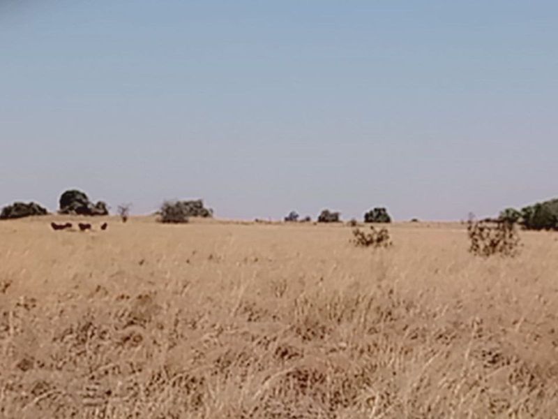 Farm For Sale in Lichtenburg Central - Photo 10