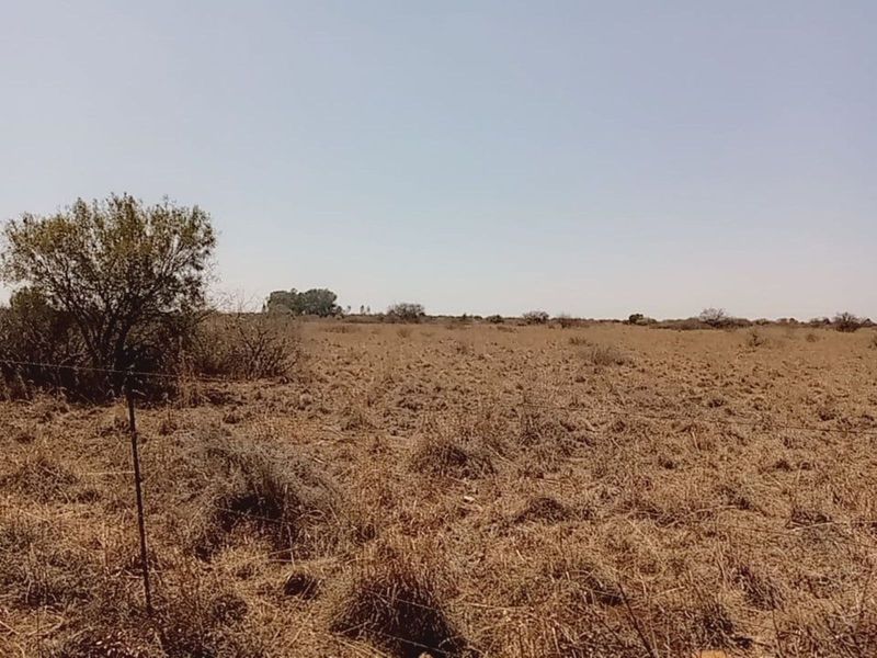 Farm For Sale in Lichtenburg Central - Photo 2