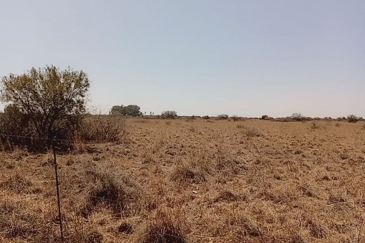 Farm For Sale in Lichtenburg Central - Photo 2