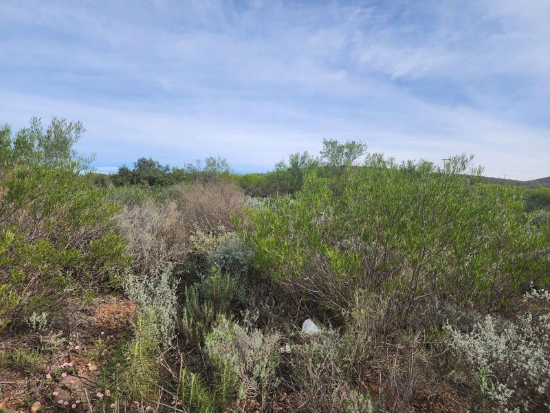 Vacant Land Residential For Sale in Ashton Central - Photo 2