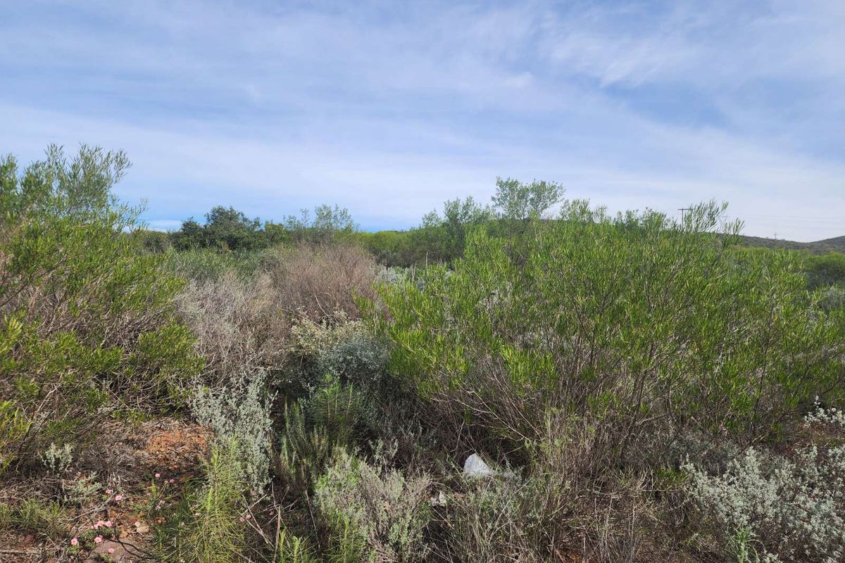 Vacant Land Residential For Sale in Ashton Central - Photo 2