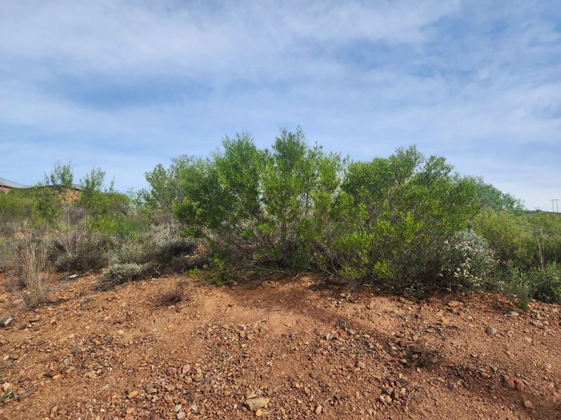 Vacant Land Residential For Sale in Ashton Central - Photo 5