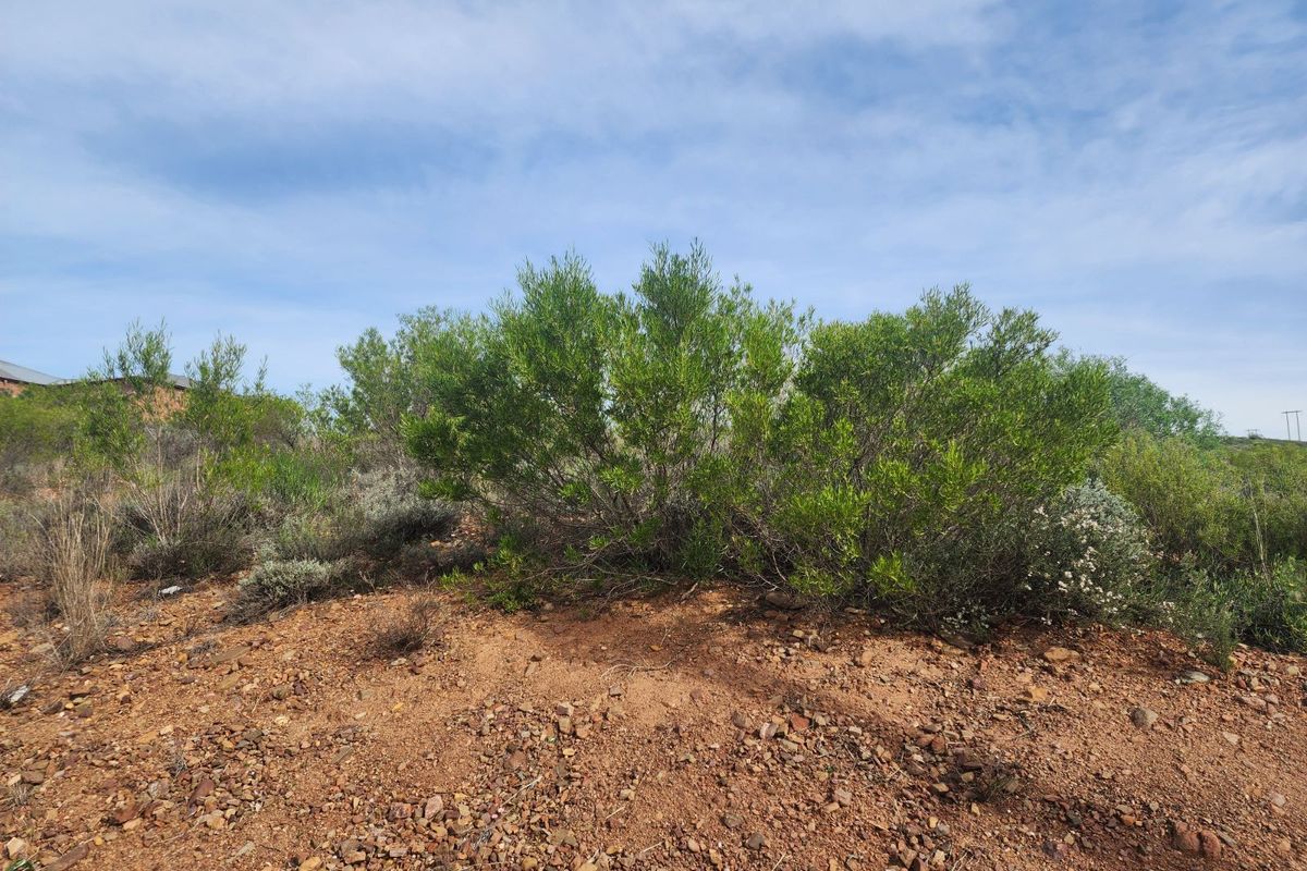 Vacant Land Residential For Sale in Ashton Central - Photo 5