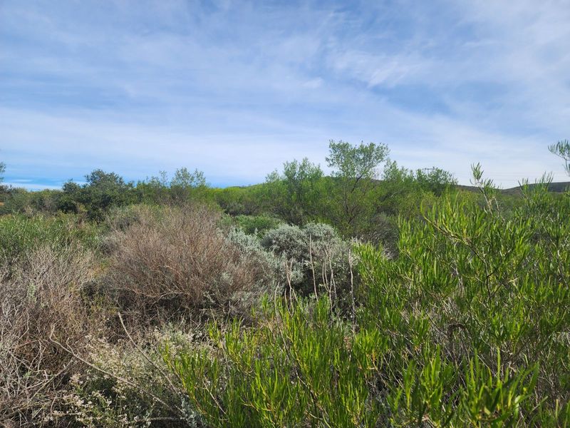 Vacant Land Residential For Sale in Ashton Central - Photo 3