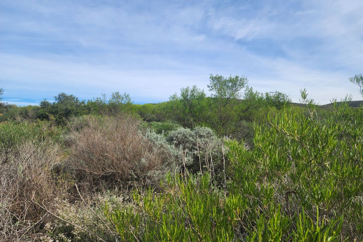 Vacant Land Residential For Sale in Ashton Central - Photo 3