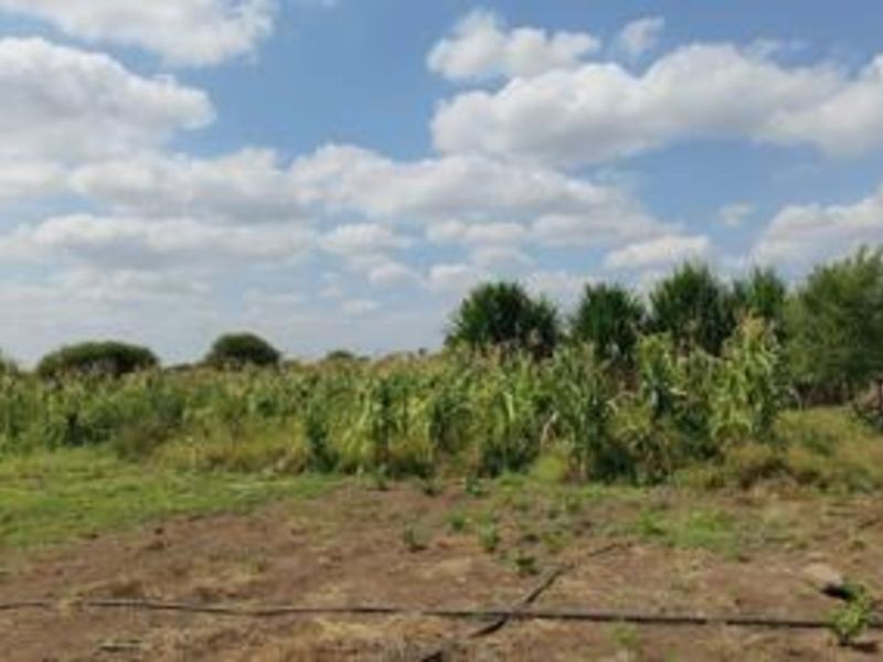 Farm For Sale in Winterveldt - Photo 3