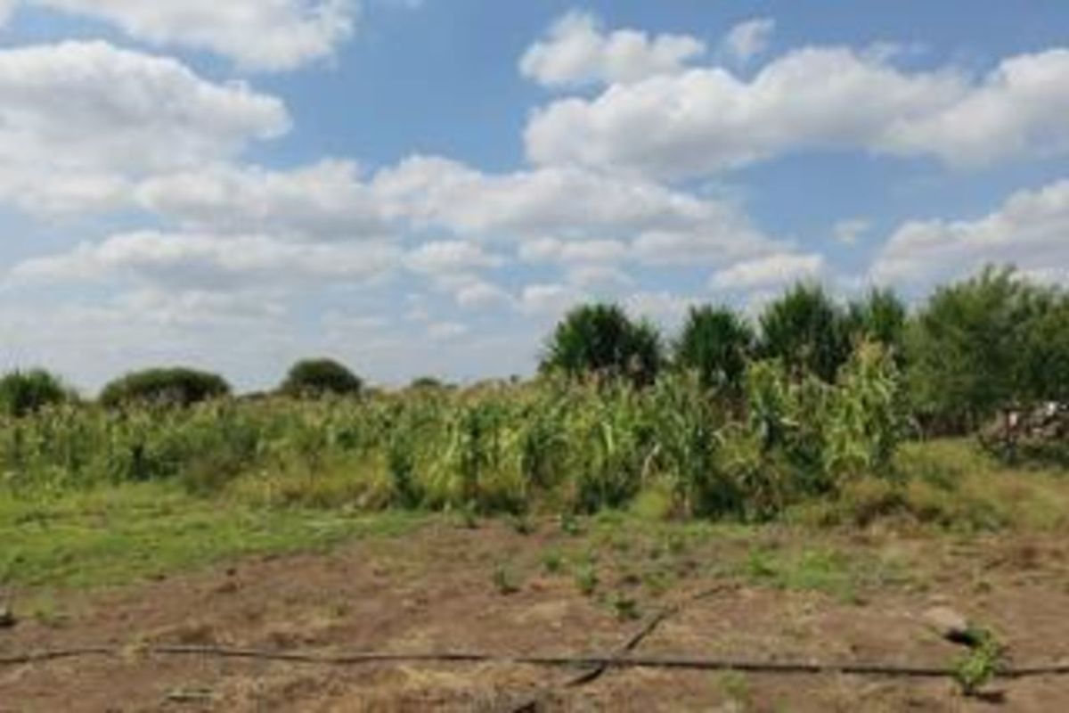 Farm For Sale in Winterveldt - Photo 3