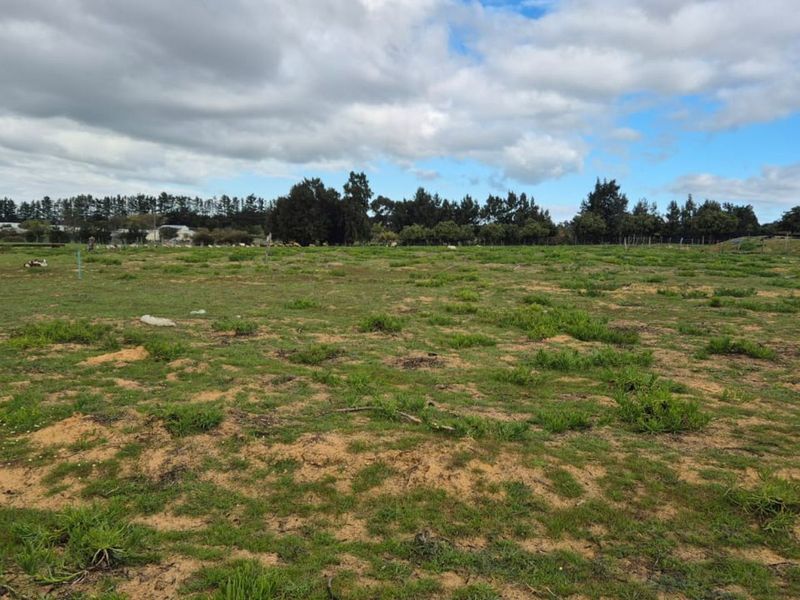 Farm For Sale in Malmesbury Rural - Photo 3