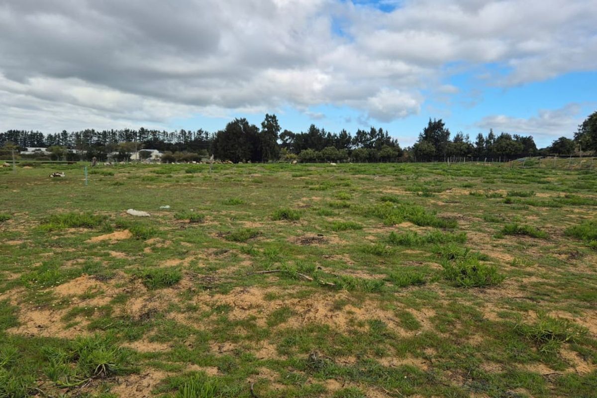 Farm For Sale in Malmesbury Rural - Photo 3