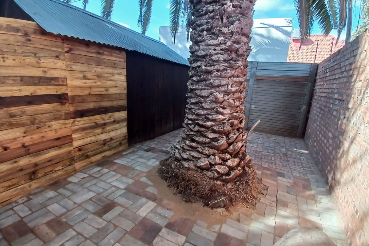 A paved outdoor area featuring a large palm tree, enclosed by a wooden structure and brick boundary walls.